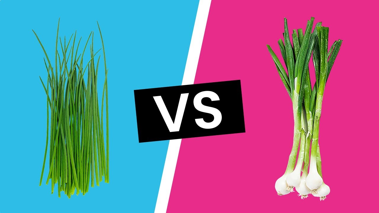 What’s the difference between chives, green onions, and scallions?