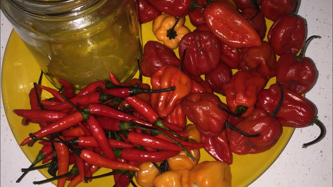 Scotch bonnets are hot peppers from Trinidad & Tobago.