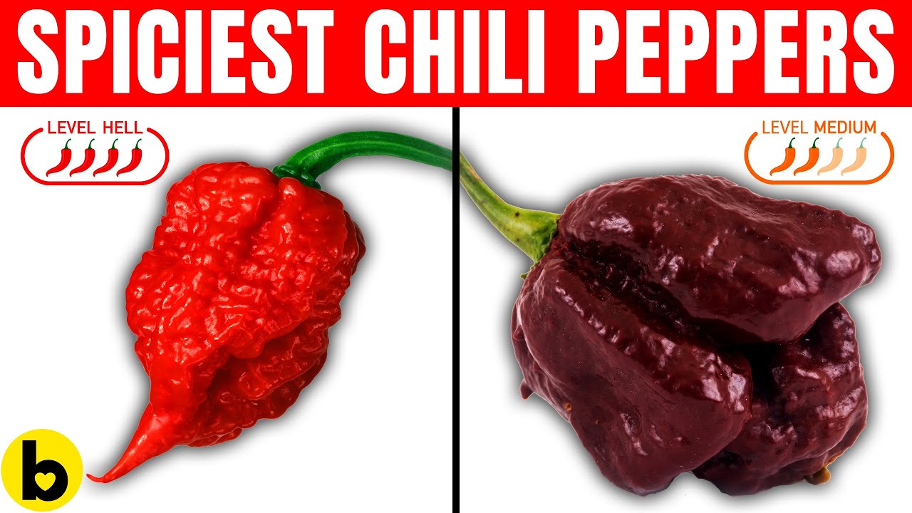 Carolina reaper peppers are some of the hottest peppers in the world.