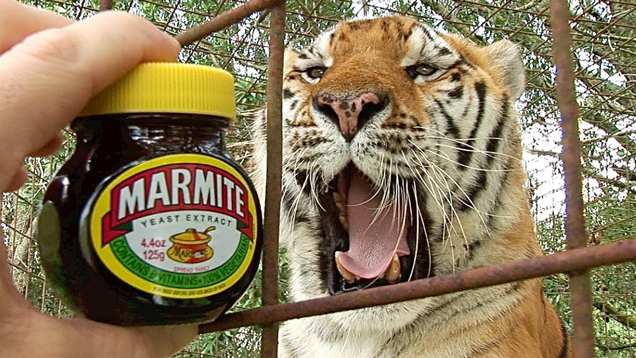 What would you say if I told you that you don’t really need marmite anymore?