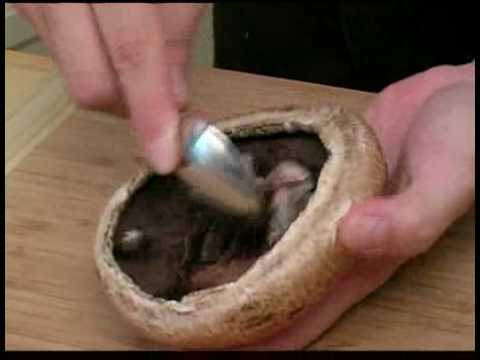 Portobello mushrooms are delicious, nutritious and versatile.