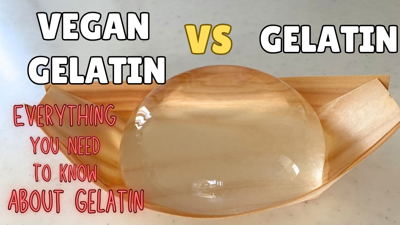 Gelatin is a protein derived from collagen found in animal bones, skin, tendons, ligaments, cartilage, and other connective tissues.