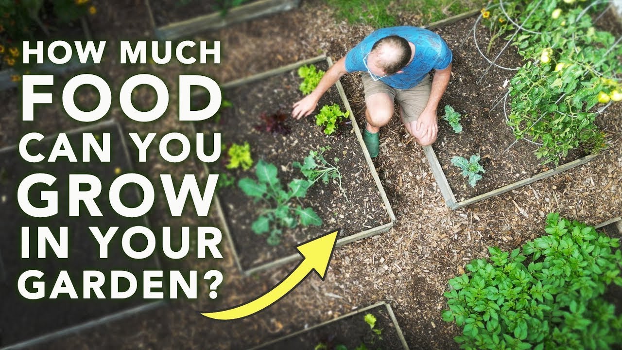 Kale is one of those vegetables that everyone loves.