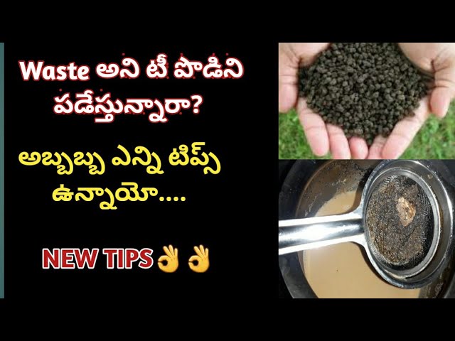 Are you tired of drinking tea every day?