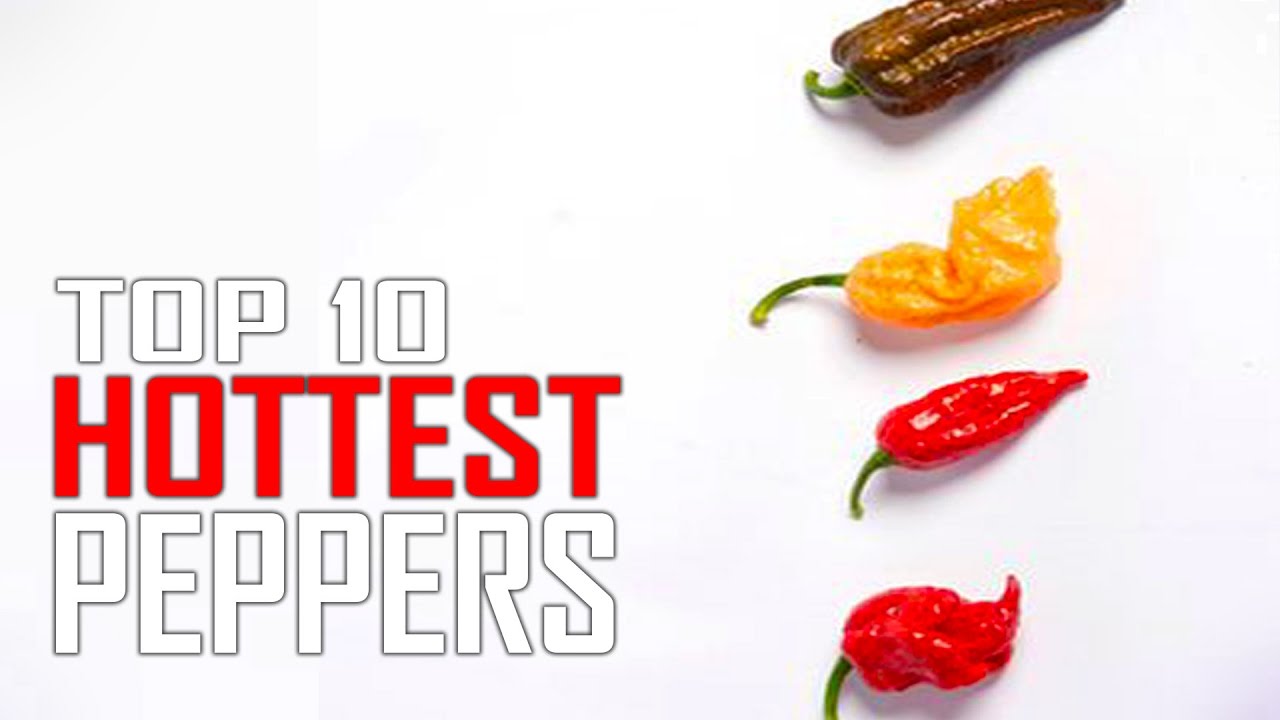 Scorpions and ghost peppers are both hot peppers, but they are very different from each other.