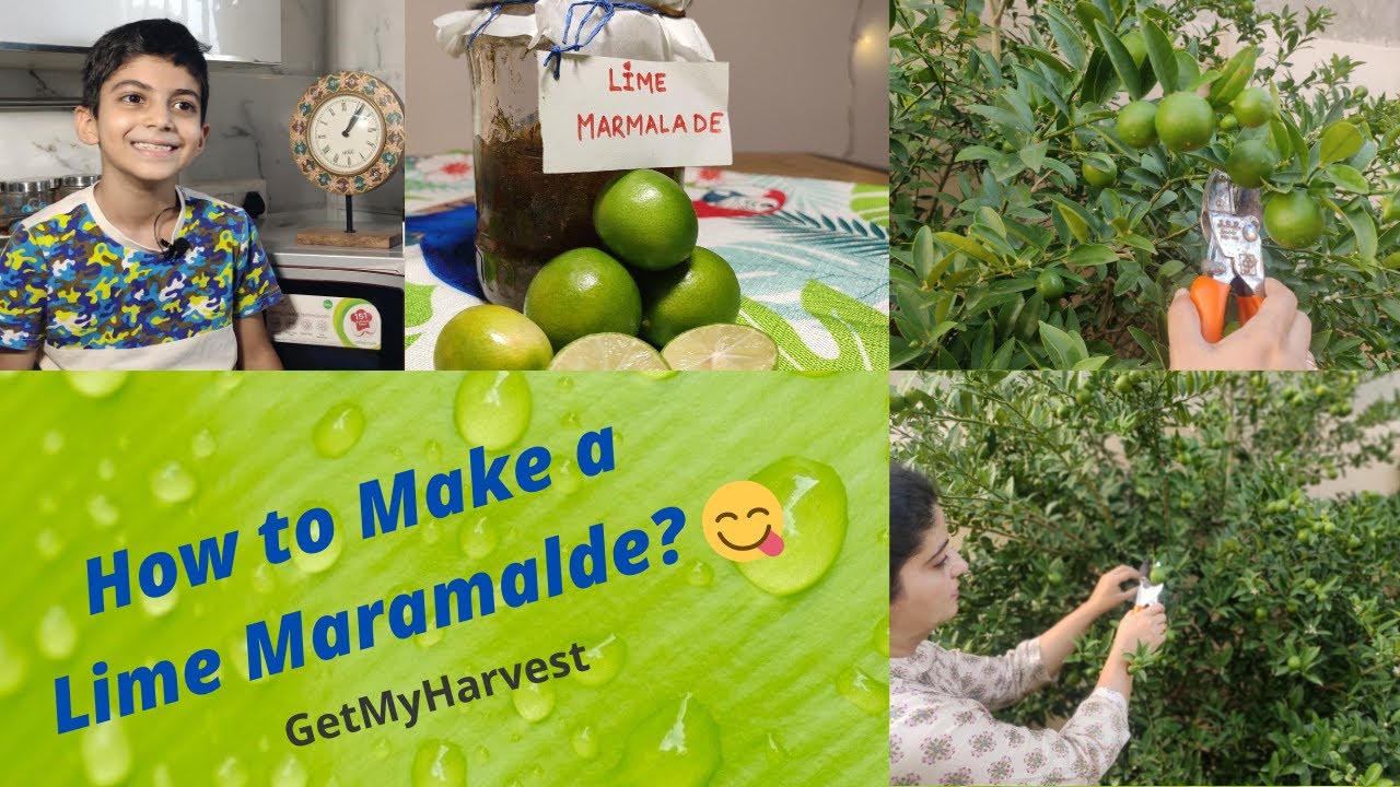 What would you say if I told you that marmalade has been replaced by lime marmalade?