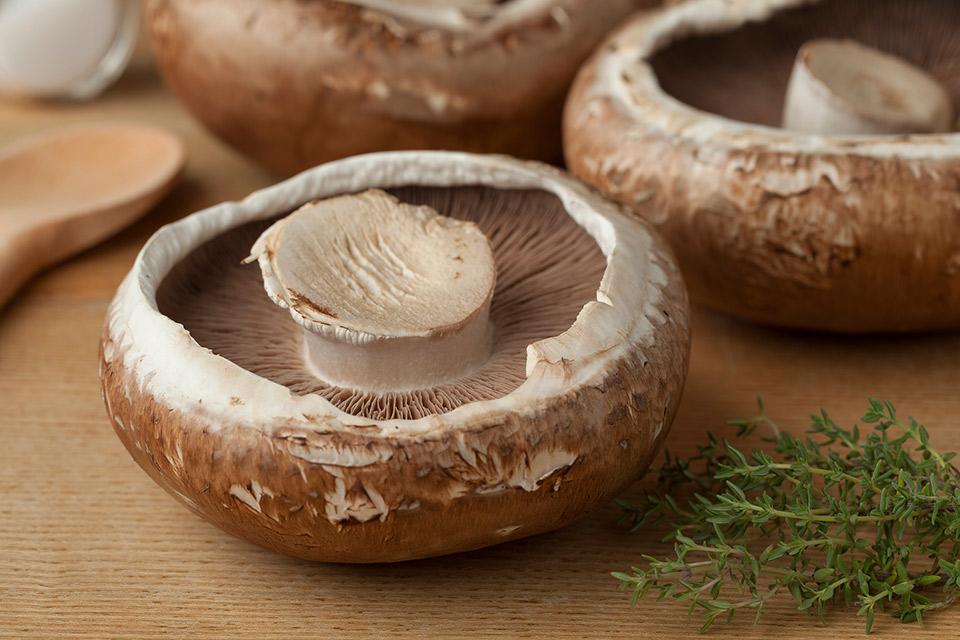 Portobello mushrooms are delicious, nutritious, versatile, and inexpensive.