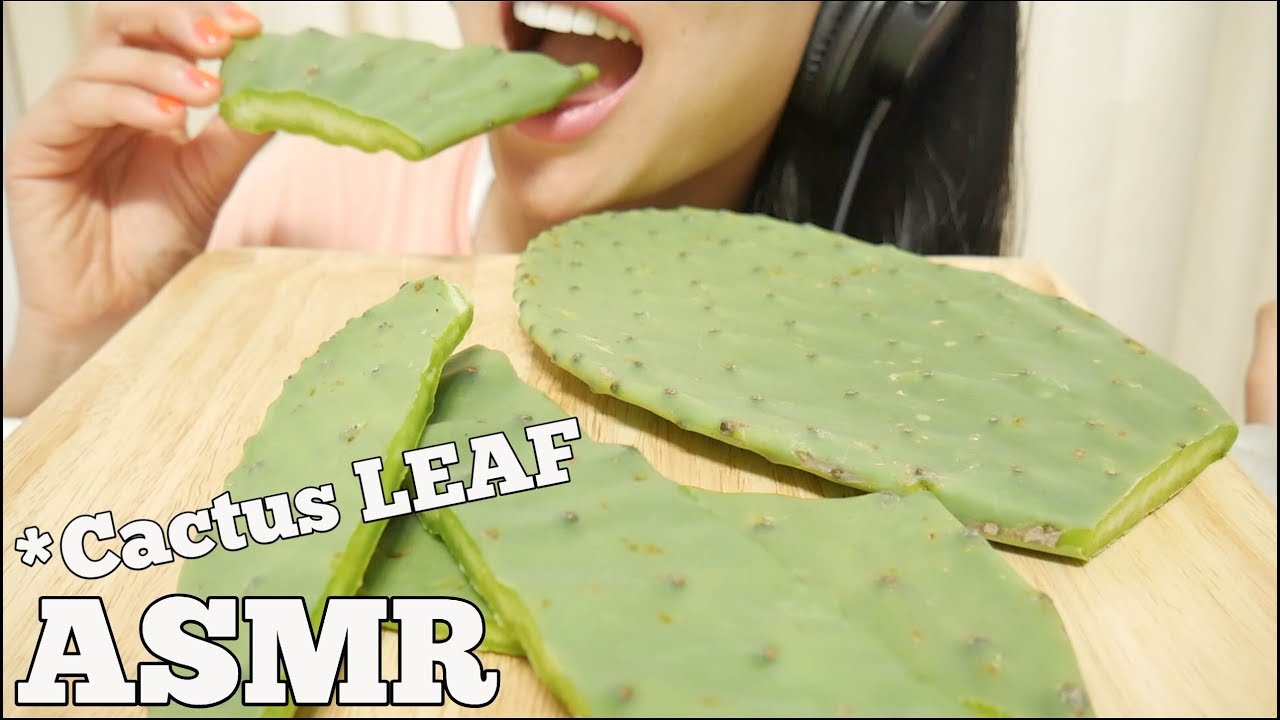 What does cactus taste like?