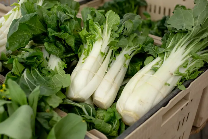Bok choy is a delicious Chinese vegetable that has become very popular over the years.