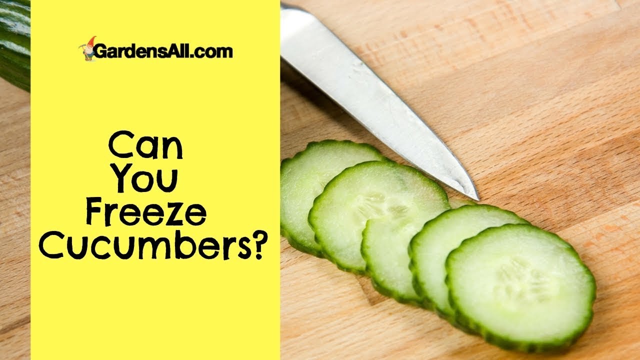 Cucumber smoothies are great for breakfast or lunch, but they don’t usually last long enough to get you through the day.