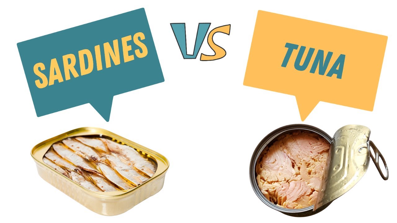 Tuna and sardines are both types of fish, but they are very different from each other.