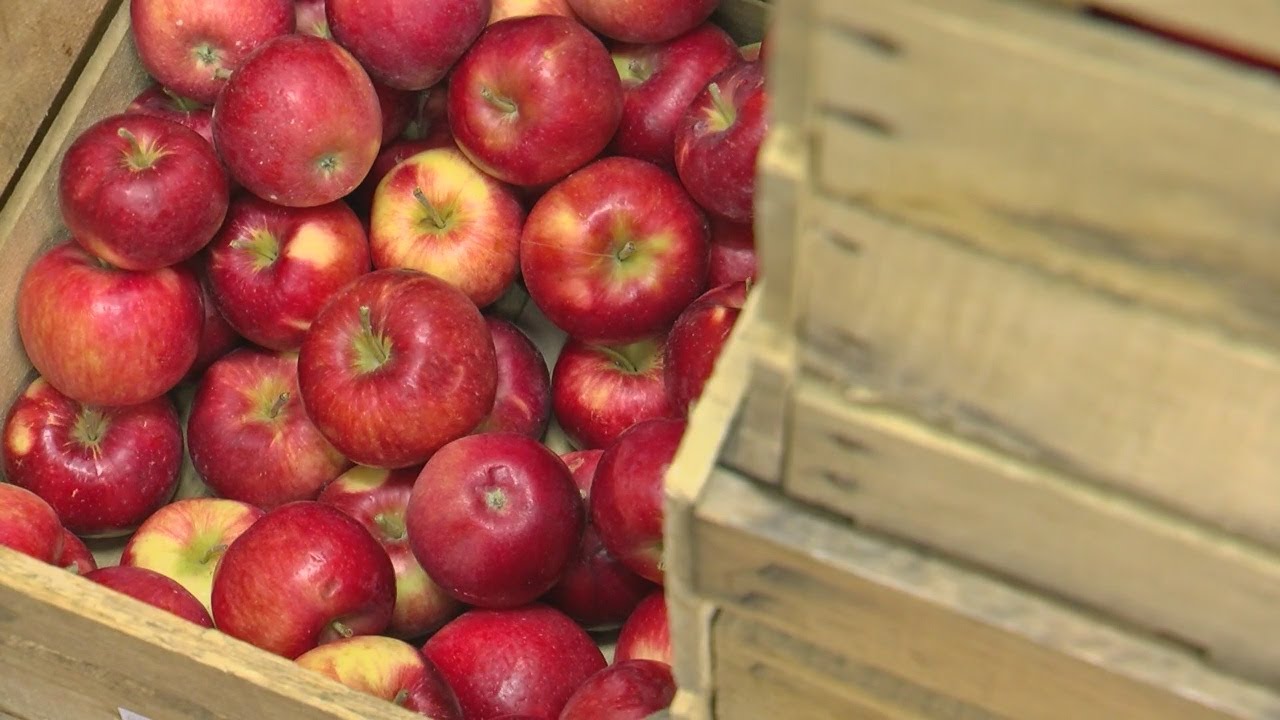 Apples are delicious, nutritious and versatile.