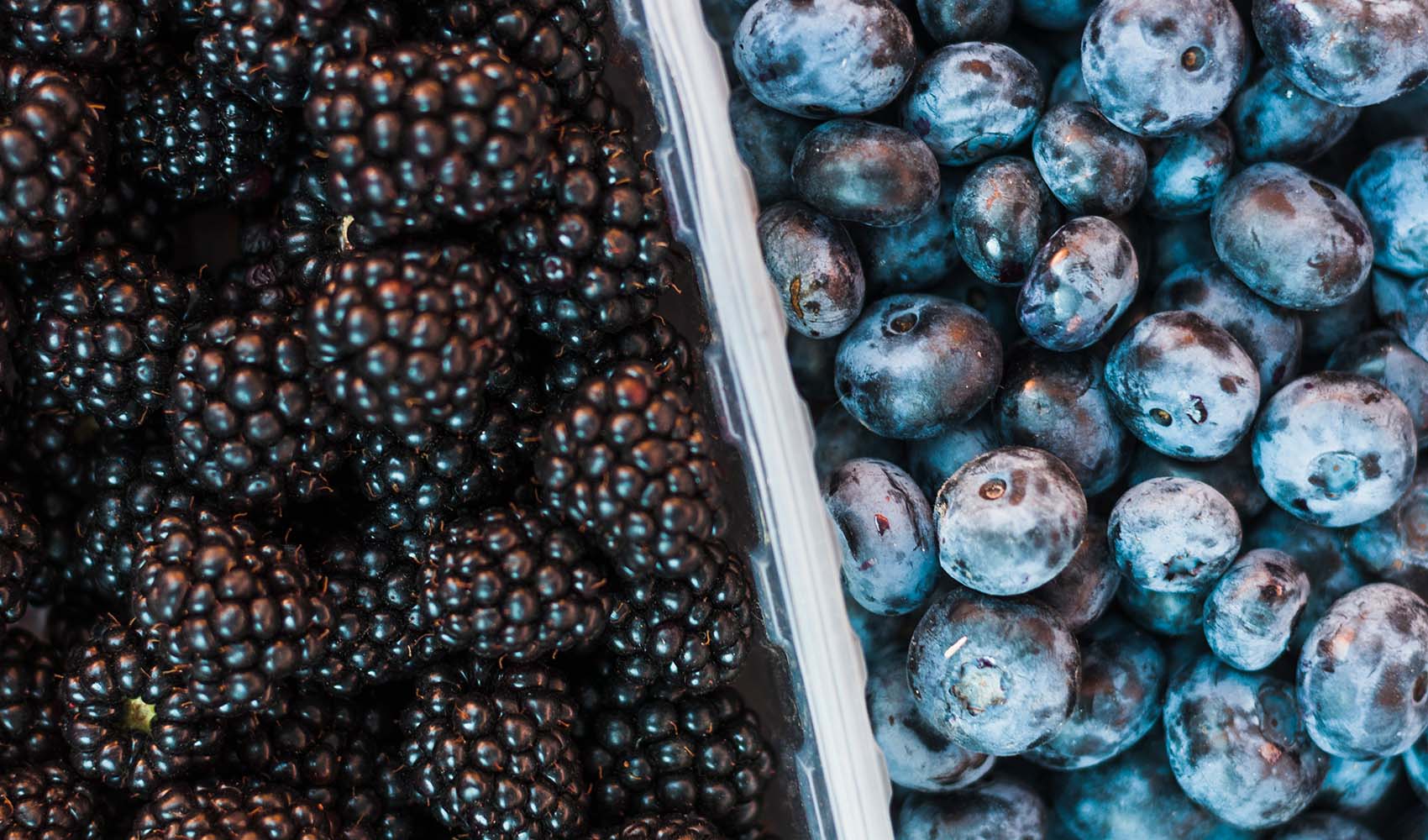 What is the difference between blueberries and blackberries?